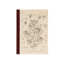 Hobonichi A5 Graph Notebook, Tomitaro Makino: Yamazakura