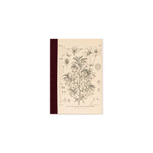 Hobonichi A6 Graph Notebook, Tomitaro Makino: Yamazakura