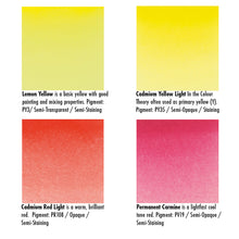 Schmincke Horadam Watercolor 12 Half Pans with Travel Brush