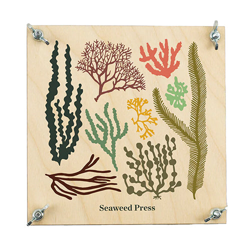 Studio Wald Seaweed Press