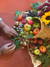 Nov. 14: Harvest Still Life in Watercolor & Mixed Media with Suma CM