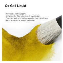 Winsor & Newton Ox Gall Liquid