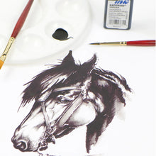 Koh-I-Noor Rapidraw Black Ink 3084F 3/4oz