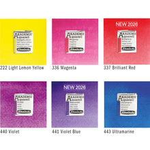 Schmincke AKADEMIE Watercolor Hydrangea set of 12 half pans