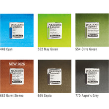 Schmincke AKADEMIE Watercolor Hydrangea set of 12 half pans