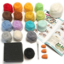 Woolbuddy DIY Starter Felting Kit