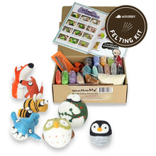 Woolbuddy DIY Starter Felting Kit