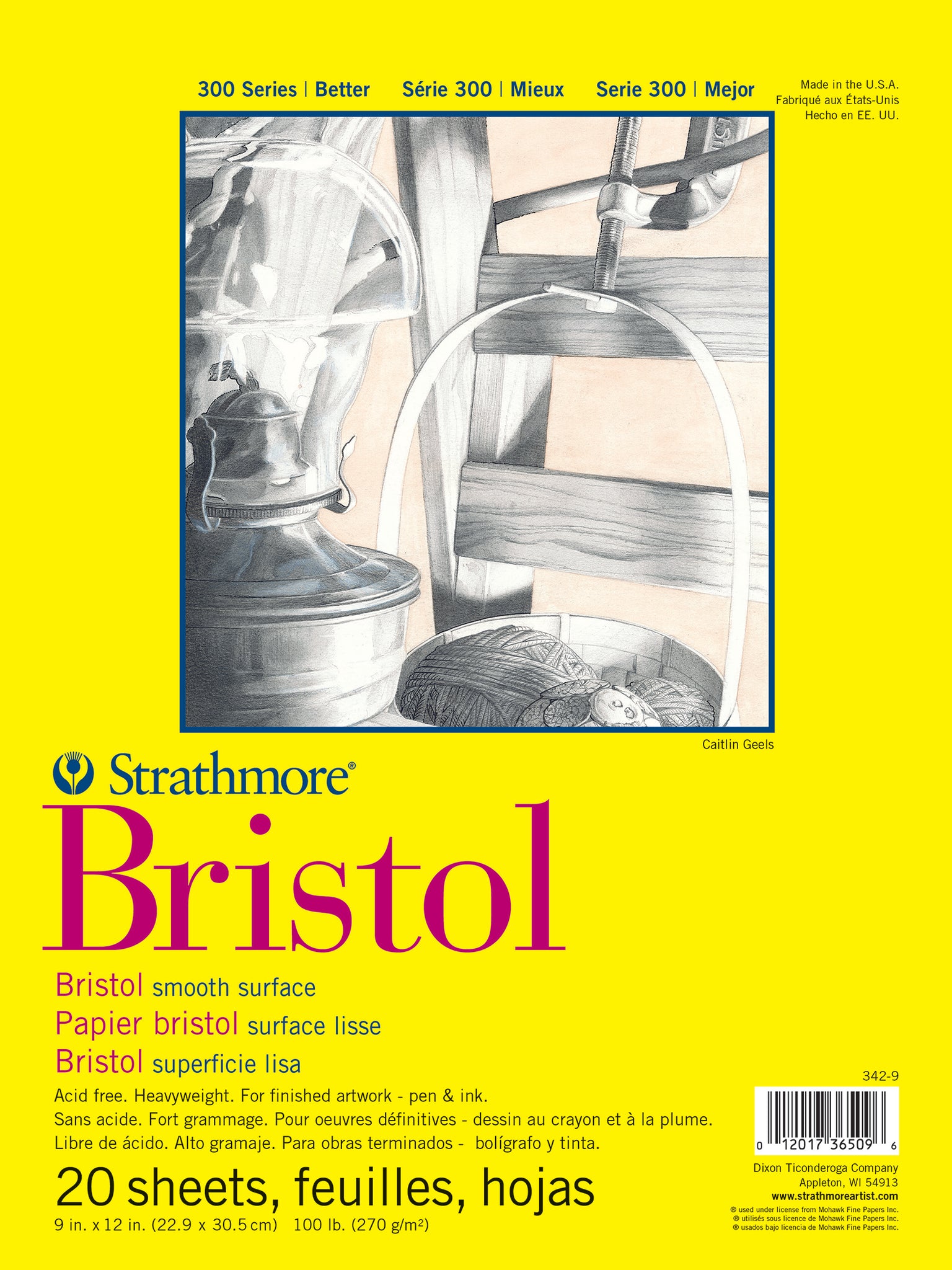 Bristol Vellum Surface 300 Paper by Strathmore - Multi Sizes