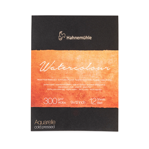 Hahnemühle Watercolor 9 x 12 Pad, 12 Sheets, Cold Press – ARCH