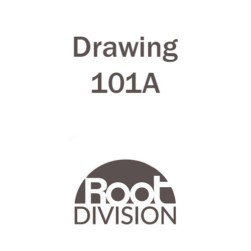 Drawing 101 - Root Division