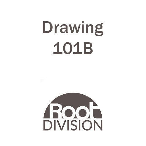 Drawing 101B - Root Division