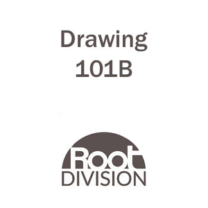 Drawing 101B - Root Division