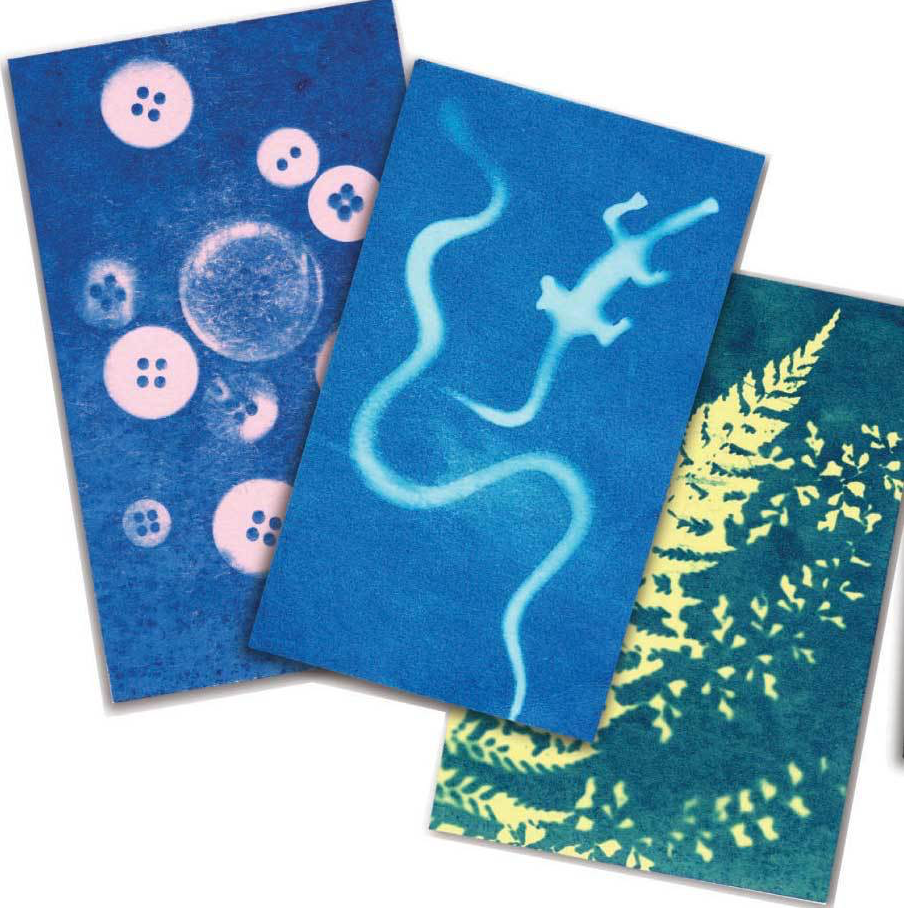 Sunography Cyanotype Paper Kits – Case for Making